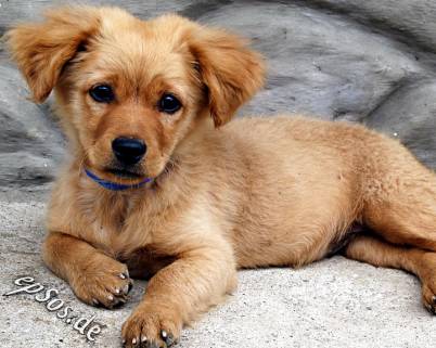 Quos ullam sint qui temporibus dolor et